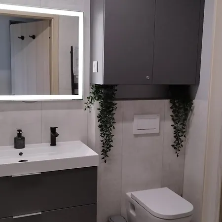 Apartment Silver Harmony