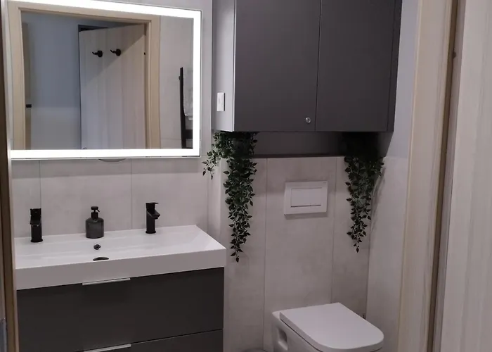 Apartment Silver Harmony